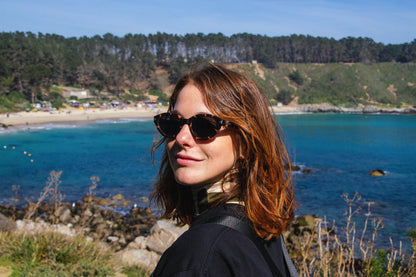 Mist Havana Polarizado