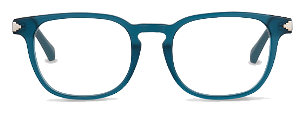 Ranita De Darwin Oceano