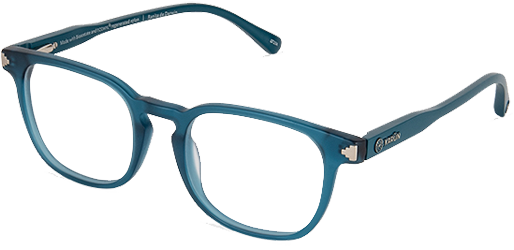 Ranita De Darwin Oceano