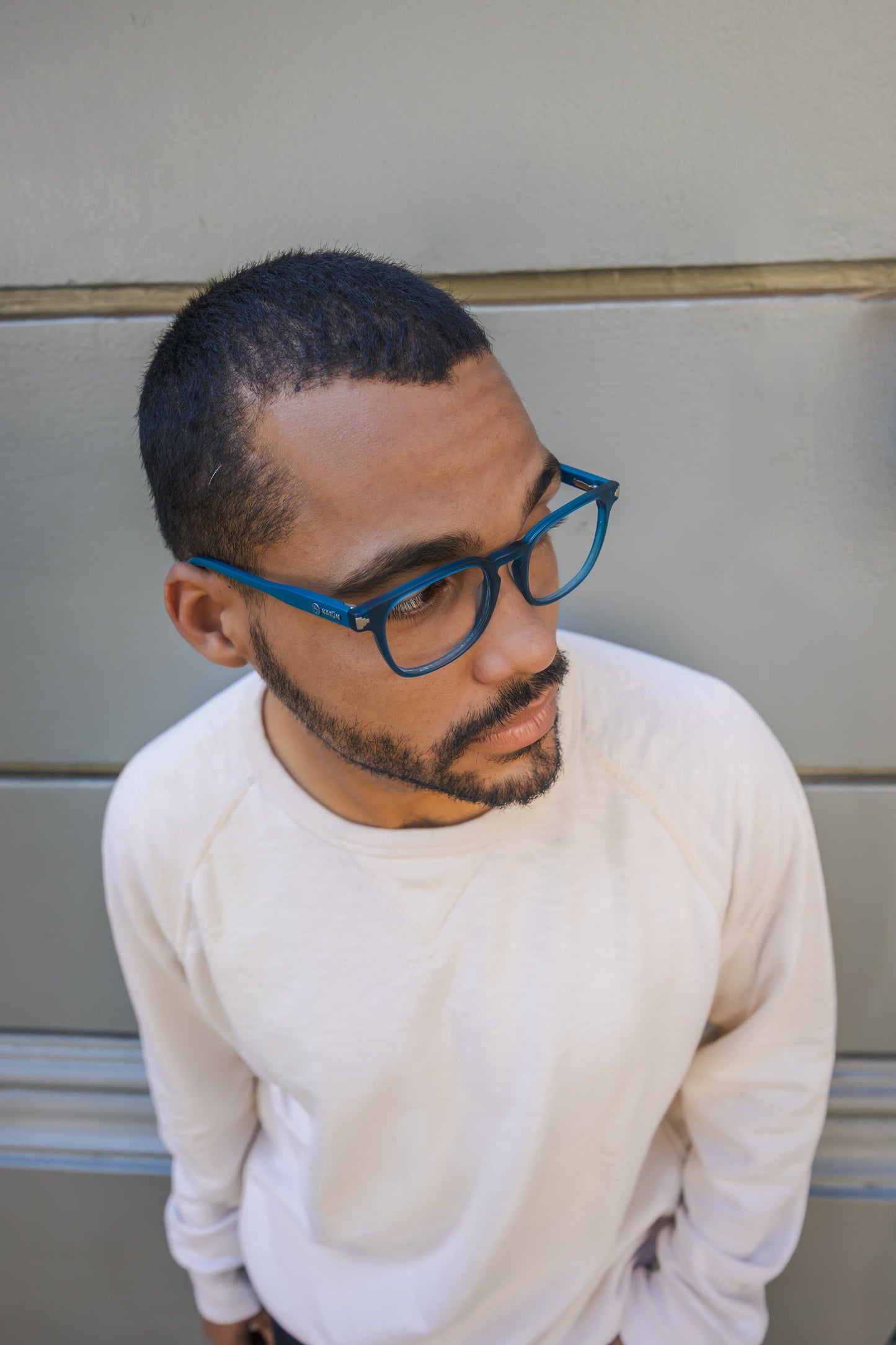 Ranita De Darwin Oceano